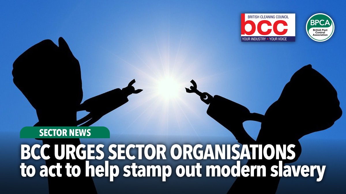 bcc-urge-sector-businesses-to-take-action-on-modern-slavery-hero